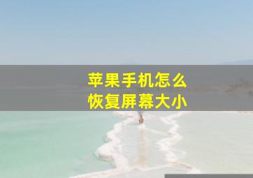 苹果手机怎么恢复屏幕大小