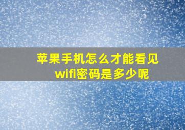 苹果手机怎么才能看见wifi密码是多少呢