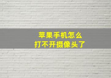 苹果手机怎么打不开摄像头了