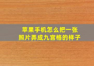 苹果手机怎么把一张照片弄成九宫格的样子