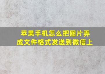 苹果手机怎么把图片弄成文件格式发送到微信上