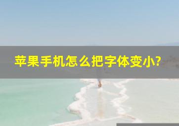 苹果手机怎么把字体变小?