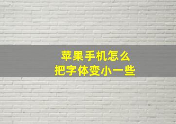 苹果手机怎么把字体变小一些