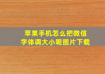 苹果手机怎么把微信字体调大小呢图片下载