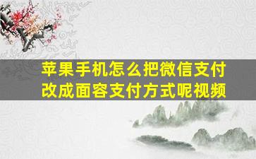 苹果手机怎么把微信支付改成面容支付方式呢视频