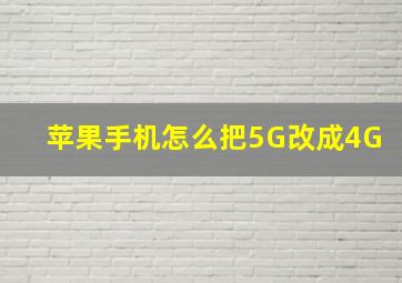 苹果手机怎么把5G改成4G