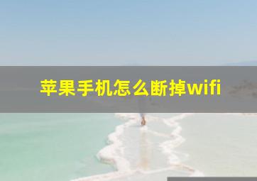 苹果手机怎么断掉wifi