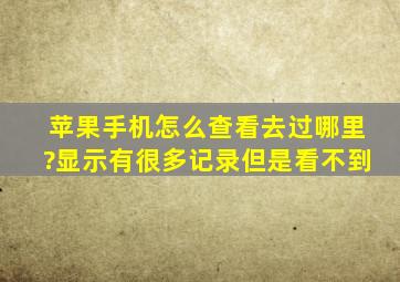 苹果手机怎么查看去过哪里?显示有很多记录但是看不到