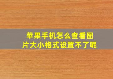 苹果手机怎么查看图片大小格式设置不了呢