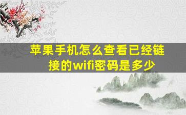 苹果手机怎么查看已经链接的wifi密码是多少