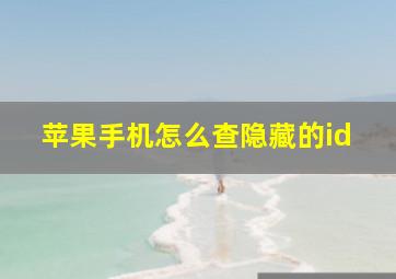 苹果手机怎么查隐藏的id