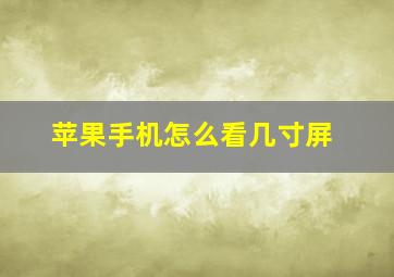 苹果手机怎么看几寸屏