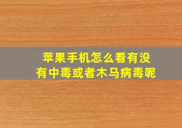 苹果手机怎么看有没有中毒或者木马病毒呢