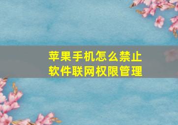 苹果手机怎么禁止软件联网权限管理