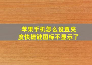 苹果手机怎么设置亮度快捷键图标不显示了