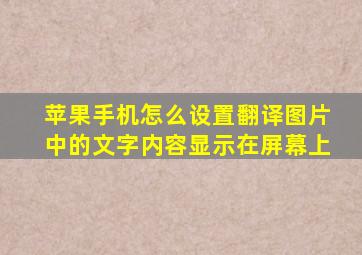 苹果手机怎么设置翻译图片中的文字内容显示在屏幕上