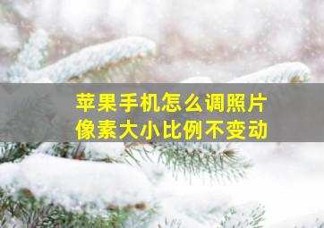 苹果手机怎么调照片像素大小比例不变动