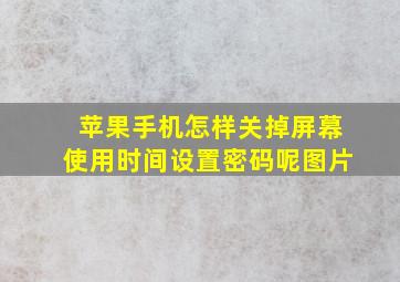 苹果手机怎样关掉屏幕使用时间设置密码呢图片