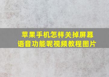 苹果手机怎样关掉屏幕语音功能呢视频教程图片