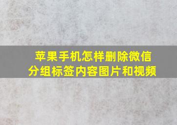 苹果手机怎样删除微信分组标签内容图片和视频