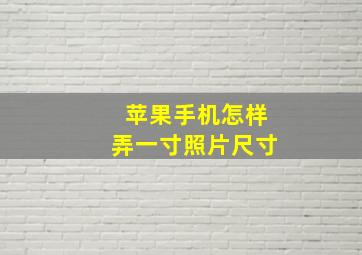 苹果手机怎样弄一寸照片尺寸