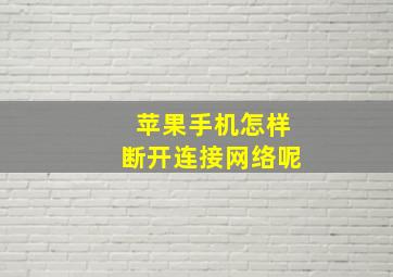 苹果手机怎样断开连接网络呢