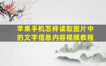 苹果手机怎样读取图片中的文字信息内容视频教程