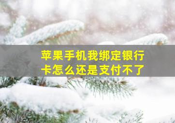 苹果手机我绑定银行卡怎么还是支付不了