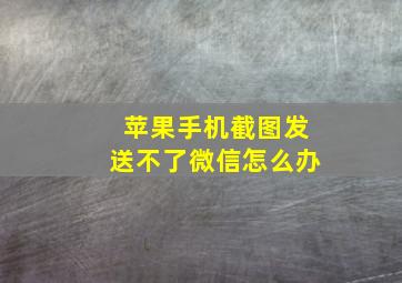 苹果手机截图发送不了微信怎么办