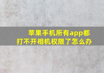 苹果手机所有app都打不开相机权限了怎么办