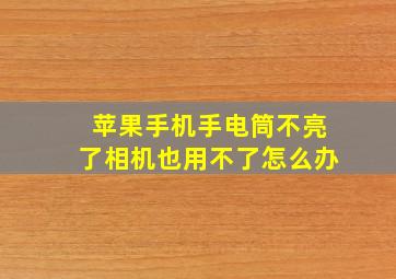 苹果手机手电筒不亮了相机也用不了怎么办