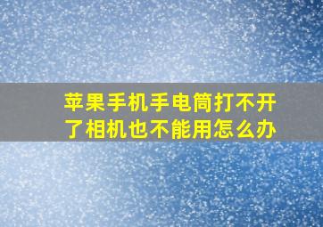 苹果手机手电筒打不开了相机也不能用怎么办