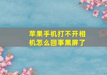 苹果手机打不开相机怎么回事黑屏了