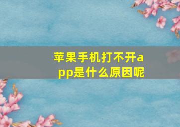 苹果手机打不开app是什么原因呢