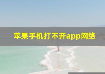 苹果手机打不开app网络