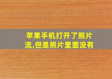 苹果手机打开了照片流,但是照片里面没有