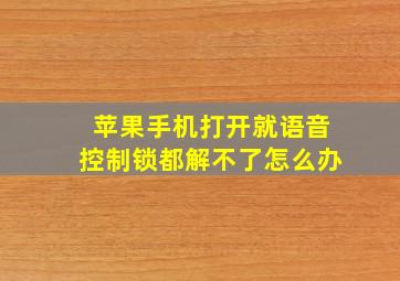 苹果手机打开就语音控制锁都解不了怎么办