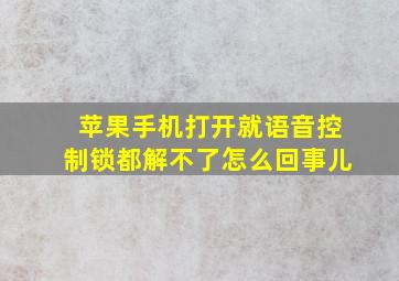 苹果手机打开就语音控制锁都解不了怎么回事儿