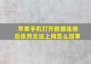 苹果手机打开数据连接后依然无法上网怎么回事