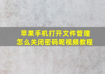 苹果手机打开文件管理怎么关闭密码呢视频教程