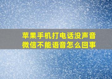 苹果手机打电话没声音微信不能语音怎么回事