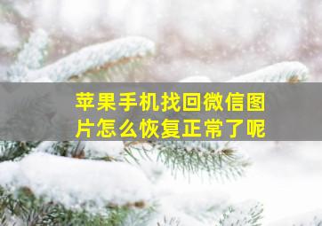 苹果手机找回微信图片怎么恢复正常了呢