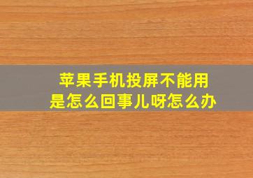 苹果手机投屏不能用是怎么回事儿呀怎么办