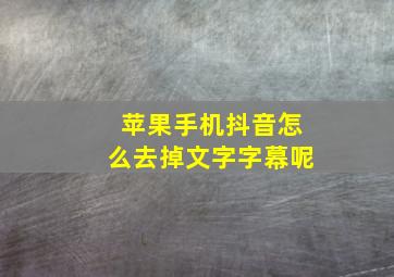 苹果手机抖音怎么去掉文字字幕呢