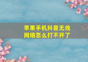 苹果手机抖音无线网络怎么打不开了