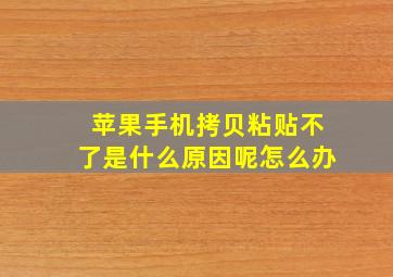 苹果手机拷贝粘贴不了是什么原因呢怎么办