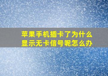 苹果手机插卡了为什么显示无卡信号呢怎么办