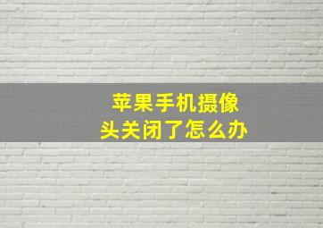 苹果手机摄像头关闭了怎么办