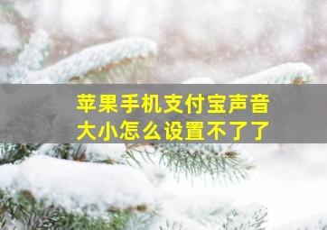 苹果手机支付宝声音大小怎么设置不了了