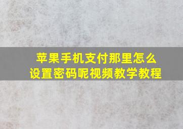 苹果手机支付那里怎么设置密码呢视频教学教程